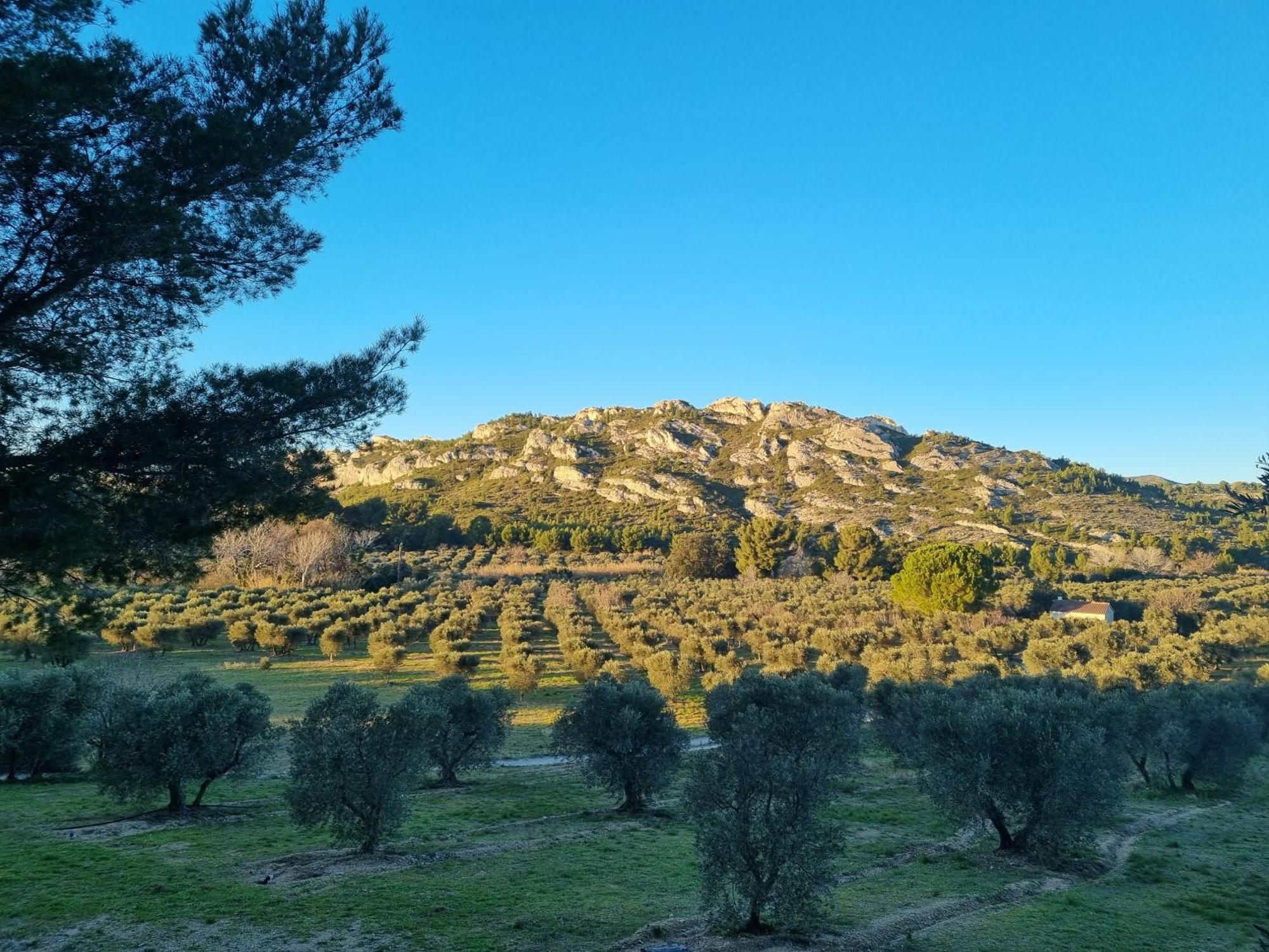 Les Garrigues De La Vallee Des Baux Paradou Dış mekan fotoğraf