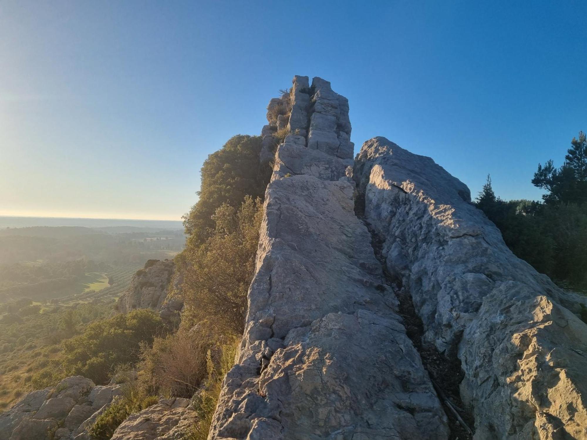 Les Garrigues De La Vallee Des Baux Paradou Dış mekan fotoğraf