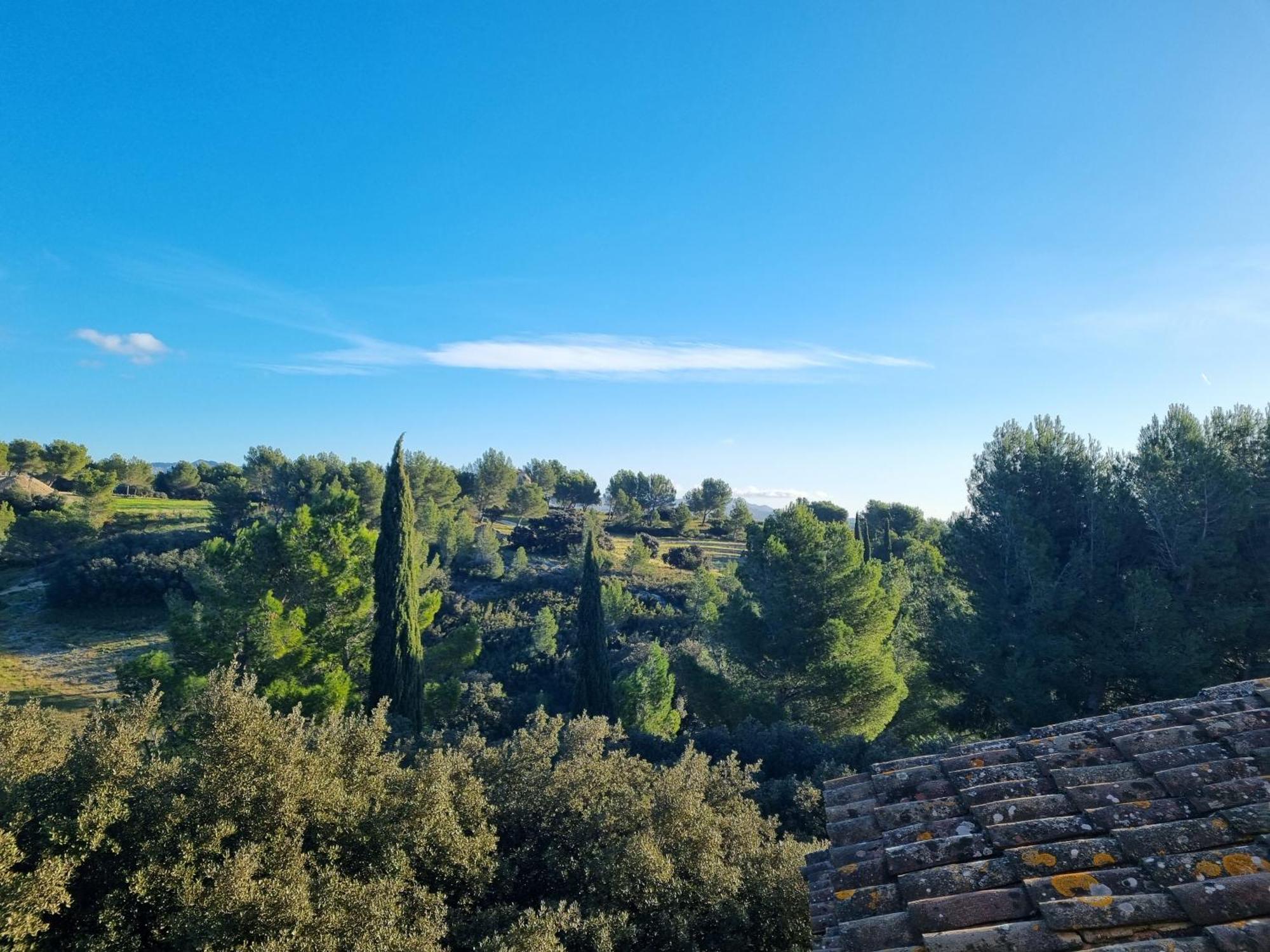 Les Garrigues De La Vallee Des Baux Paradou Dış mekan fotoğraf