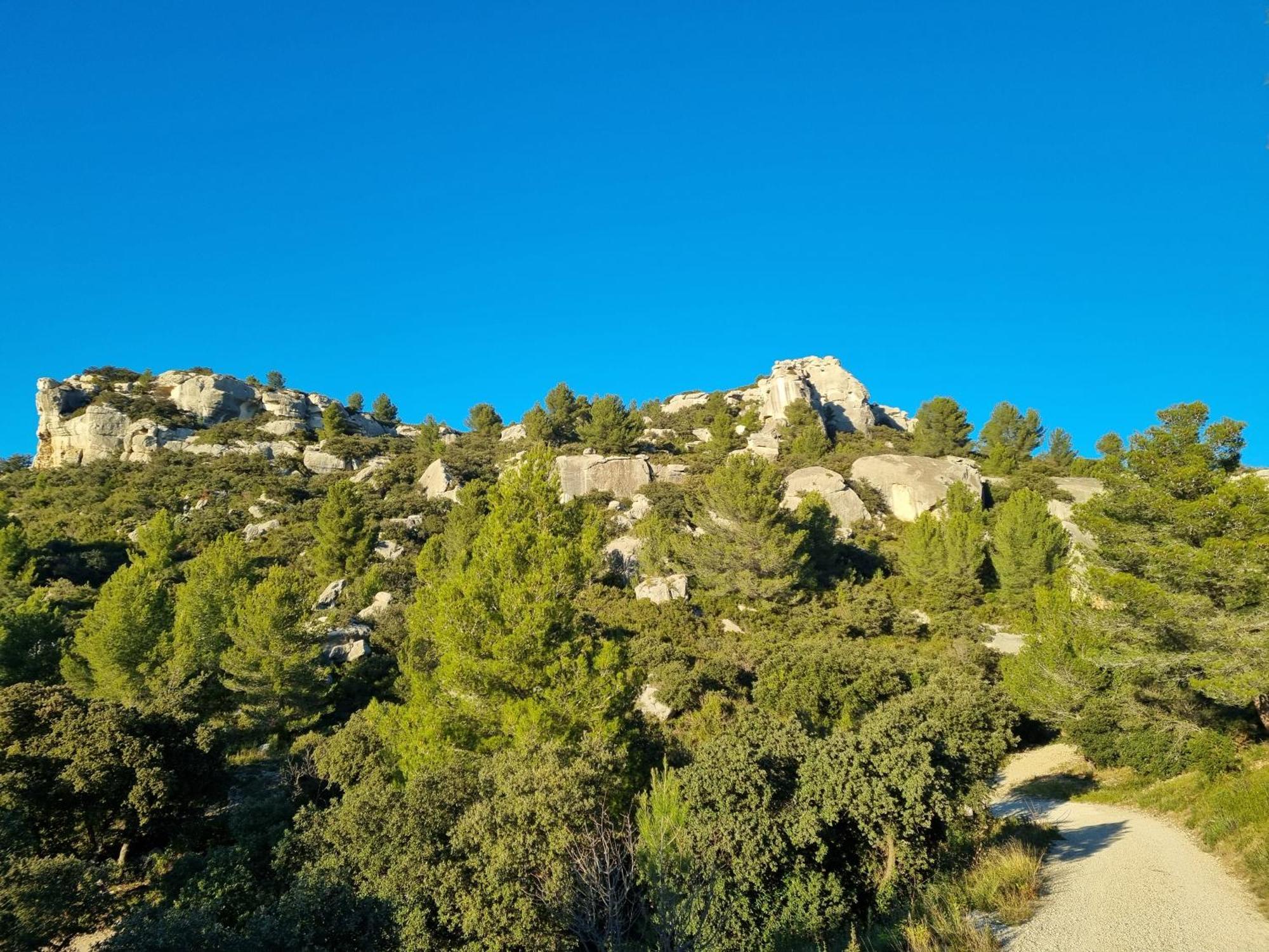 Les Garrigues De La Vallee Des Baux Paradou Dış mekan fotoğraf